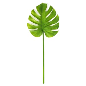 Lorem risus luctus felis